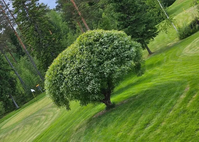 Kesaeaitat Κάμπινγκ Ähtäri